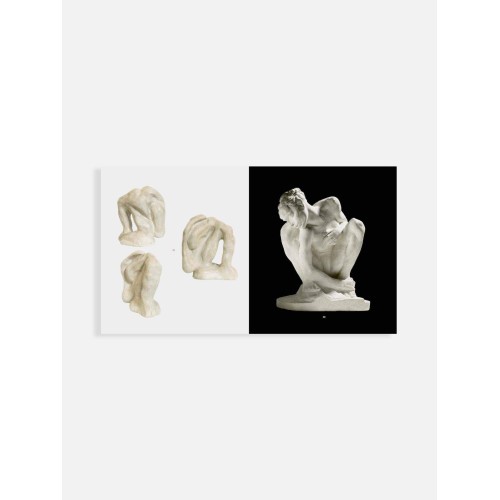 Value Pack Rodin / Arp